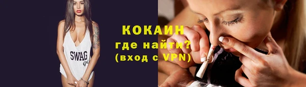 твердый Болохово