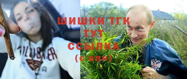 тгк Арсеньев