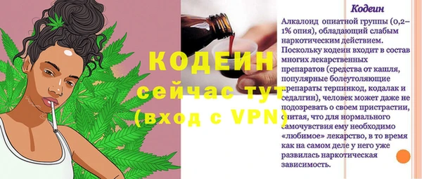 шишки Аркадак