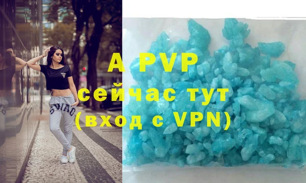 шишки Аркадак