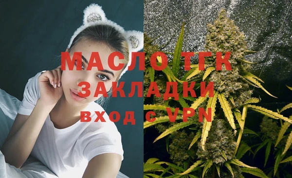 шишки Аркадак
