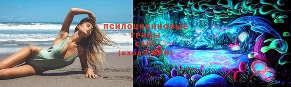 винт Болхов
